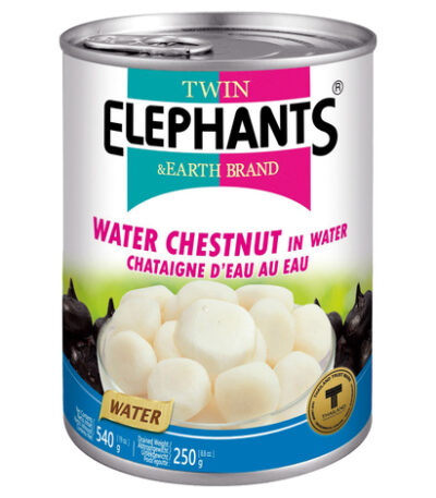 Twin Elephant Earth Waterkastanjes In Water 540 g