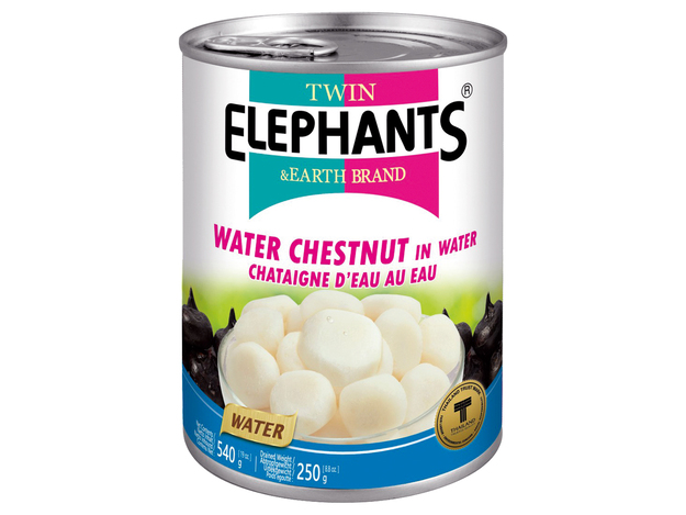 Twin Elephant Earth Waterkastanjes In Water 540 g