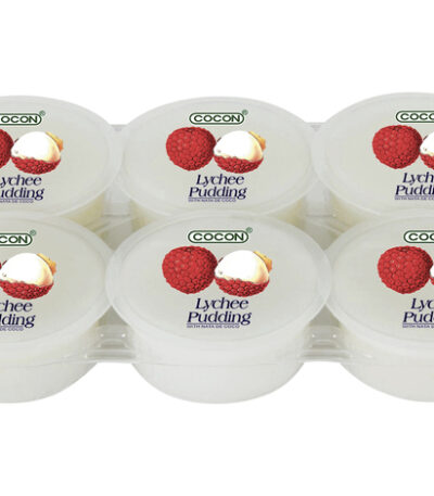 Cocon Nata de Coco Lychee Dessert 480 g