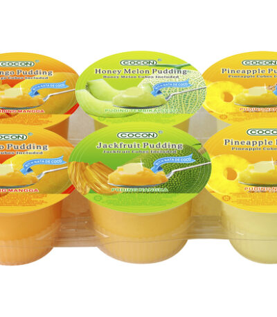 Cocon Pudding met Fruit Assorti 708 g