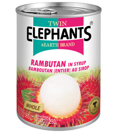 Twin Elephant Earth Ramboetan op siroop 565 g