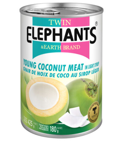 Twin Elephant Earth Jonge Kokosplakken op Lichte Siroop 425 g