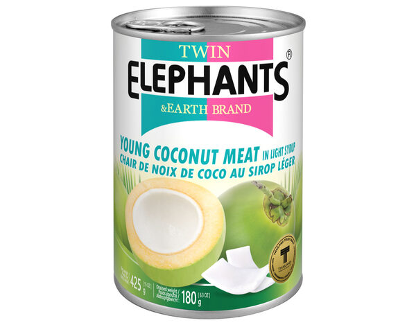 Twin Elephant Earth Jonge Kokosplakken op Lichte Siroop 425 g
