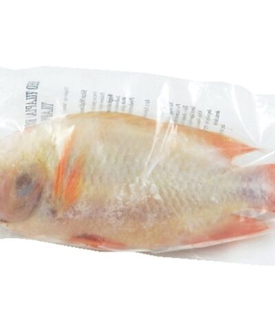 Asian Pearl Rode Tilapia GS 500/800 1 kg