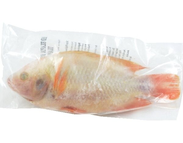 Asian Pearl Rode Tilapia GS 500/800 1 kg